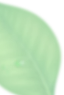 Decorative Shape for Best Spa in Vijayapura Karnataka